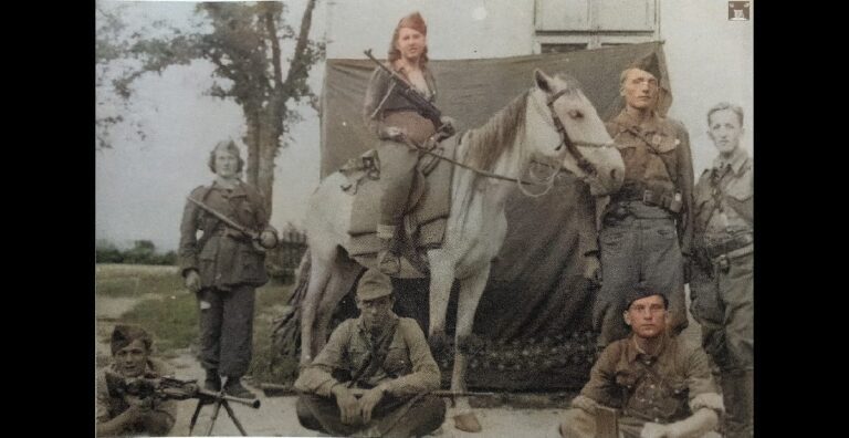 Mlada partizanka<br src=