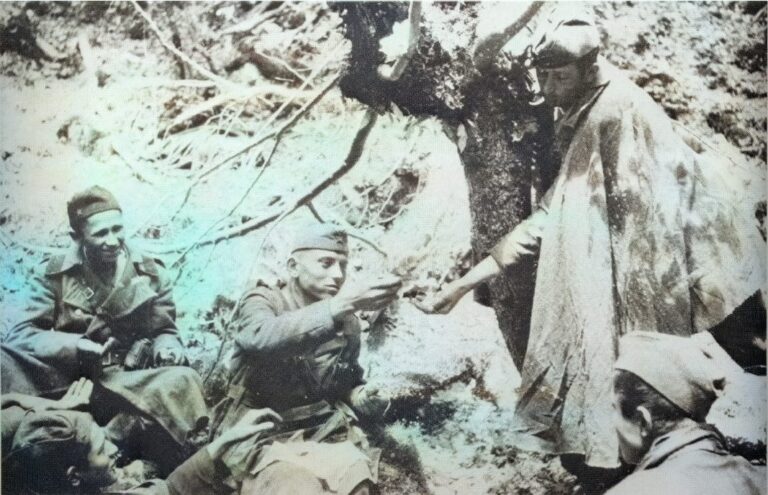 ODLUČAN NAPAD JEDINO REŠENjE -Dragan DIMITRIJEVIĆ KIKI<br src=