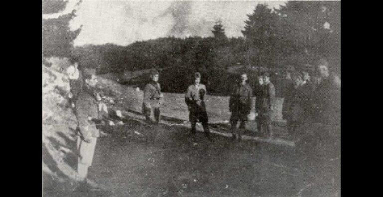 MILJEVINA – Milorad MITROVIĆ<br src=